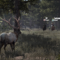 Multiplayer Hunting