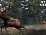 Catching an elk
