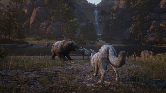 Bear vs wolves