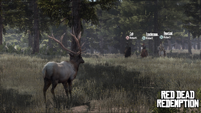 Multiplayer Hunting