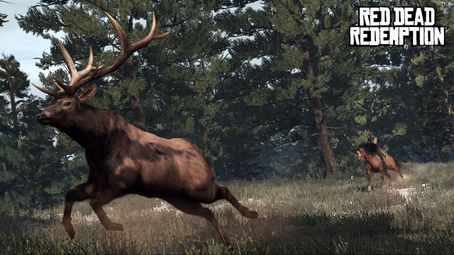 Catching an elk