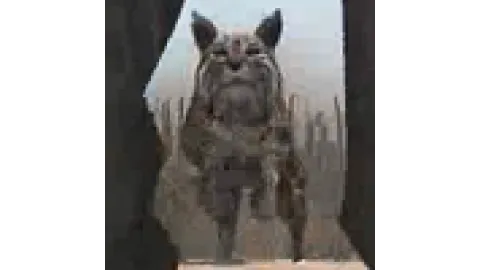 animal - bobcat