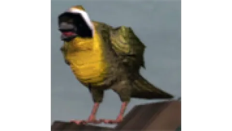animal - songbird