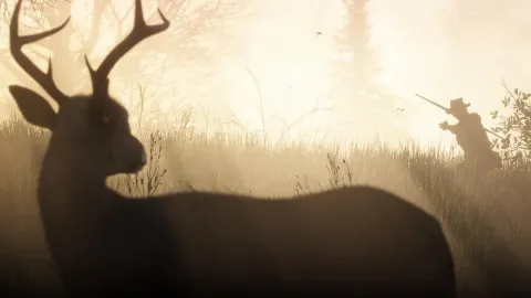 Bow hunting deer