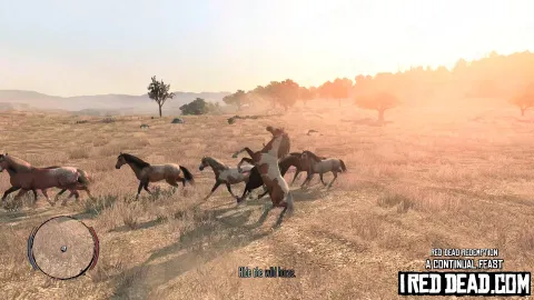 Red Dead Redemption A Continual Feast 15