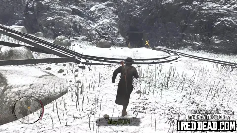 Red Dead Redemption At Home With Dutch 35