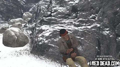 Red Dead Redemption At Home With Dutch 37