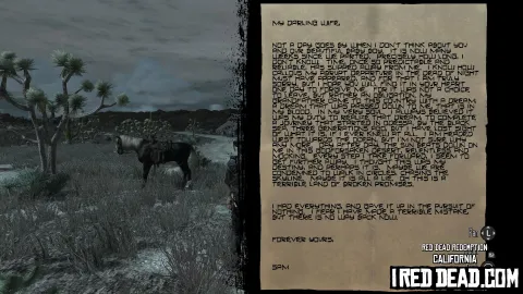 Red Dead Redemption California 23