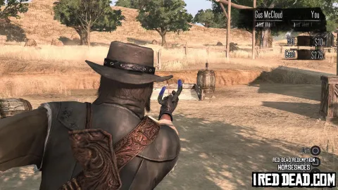 Red Dead Redemption Horseshoes 12