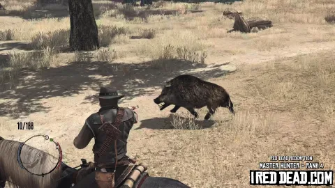 Red Dead Redemption Master Hunter Boar