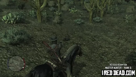 Red Dead Redemption Master Hunter Raccoon