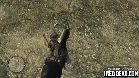 Red Dead Redemption Master Hunter Skunk