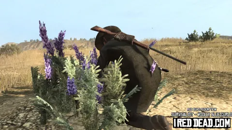 Red Dead Redemption Survivalist Woolly Blue Curls