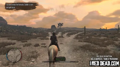 Red Dead Redemption Wild Horses, Tamed Passions 45