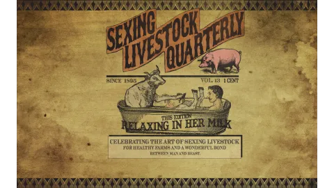 Sexing Livestock Quarterly