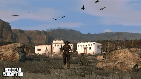 Vultures Overhead