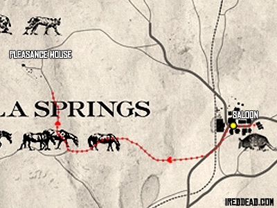 Political Realities in Armadillo Map