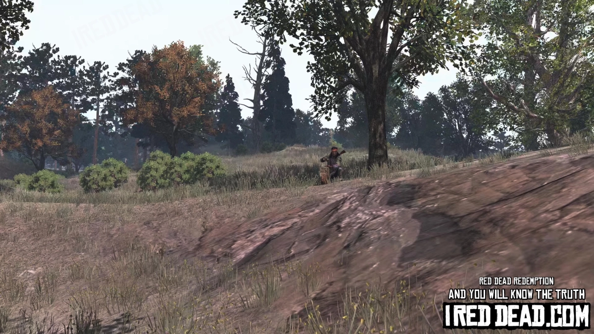 Red Dead Redemption And You Will Know The Truth 14