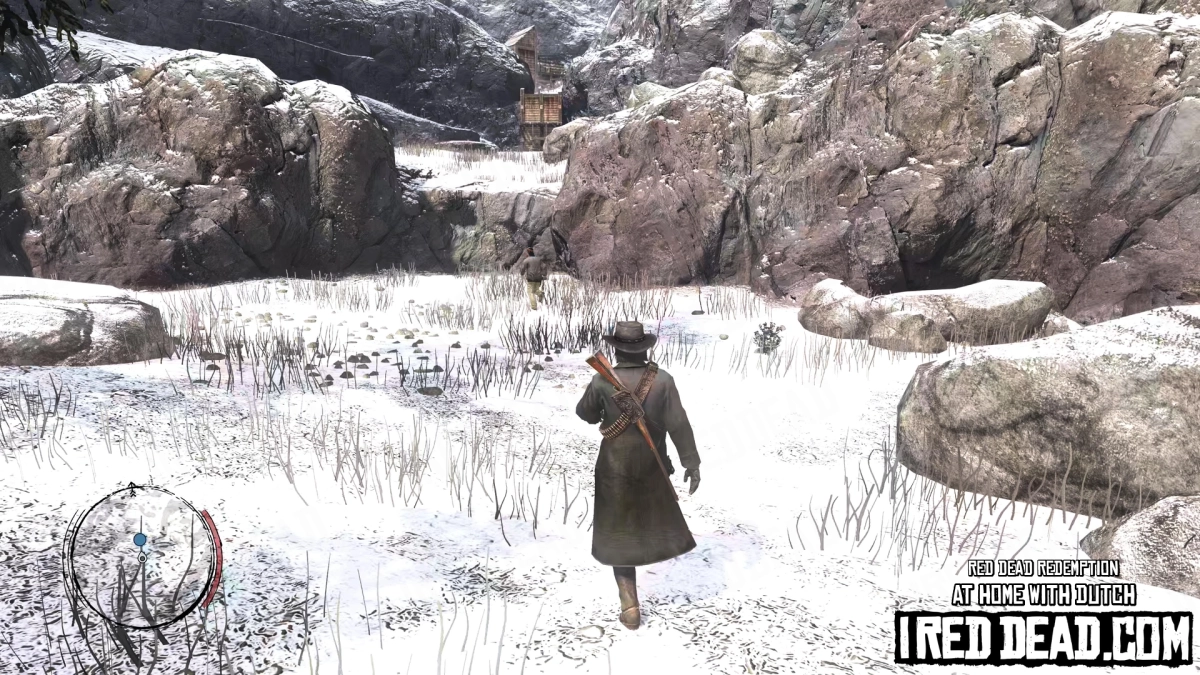 Red Dead Redemption At Home With Dutch 13