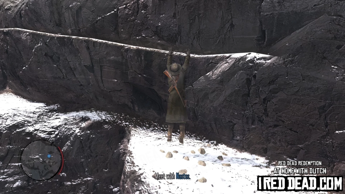 Red Dead Redemption At Home With Dutch 21