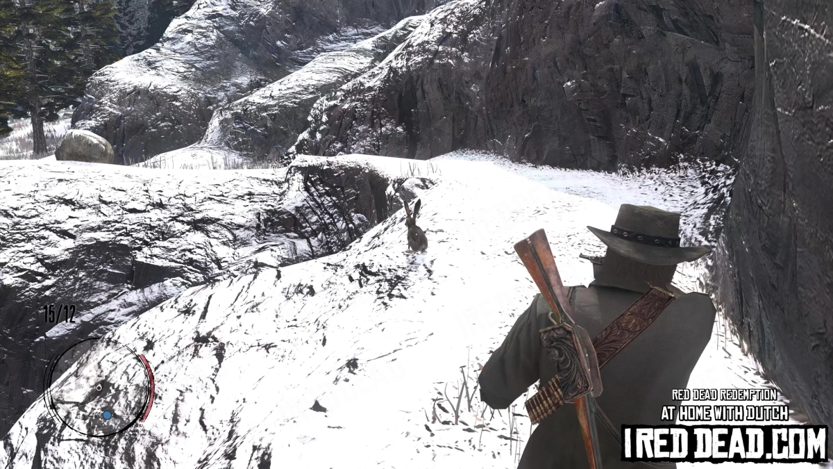 Red Dead Redemption At Home With Dutch 22