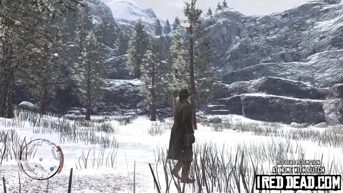 Red Dead Redemption At Home With Dutch 23