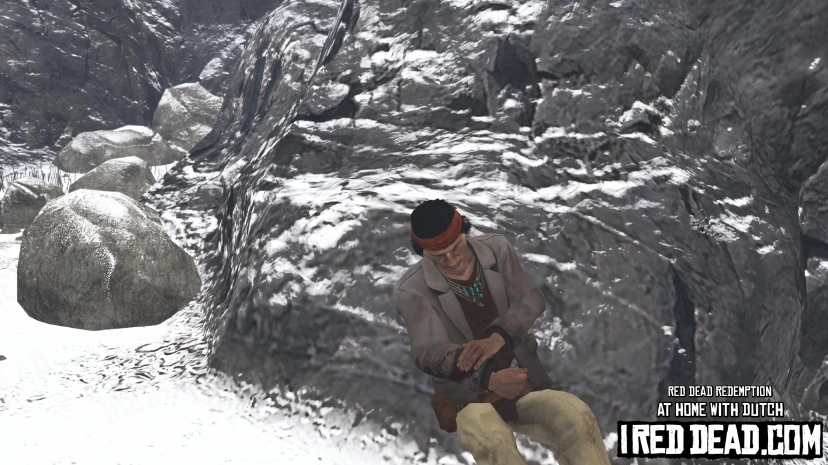 Red Dead Redemption At Home With Dutch 37