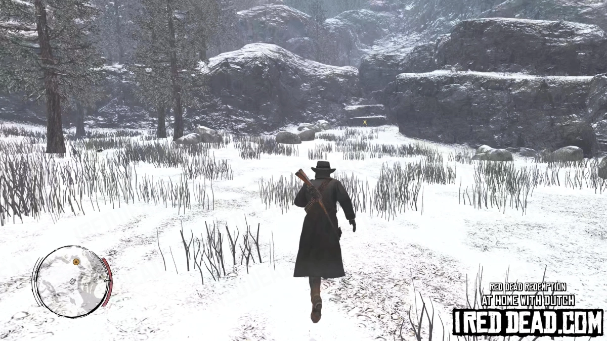 Red Dead Redemption At Home With Dutch 38