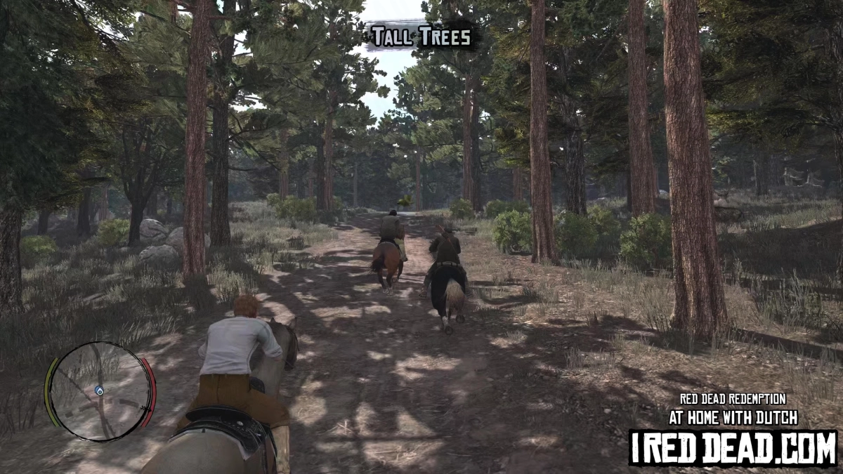 Red Dead Redemption At Home With Dutch 9