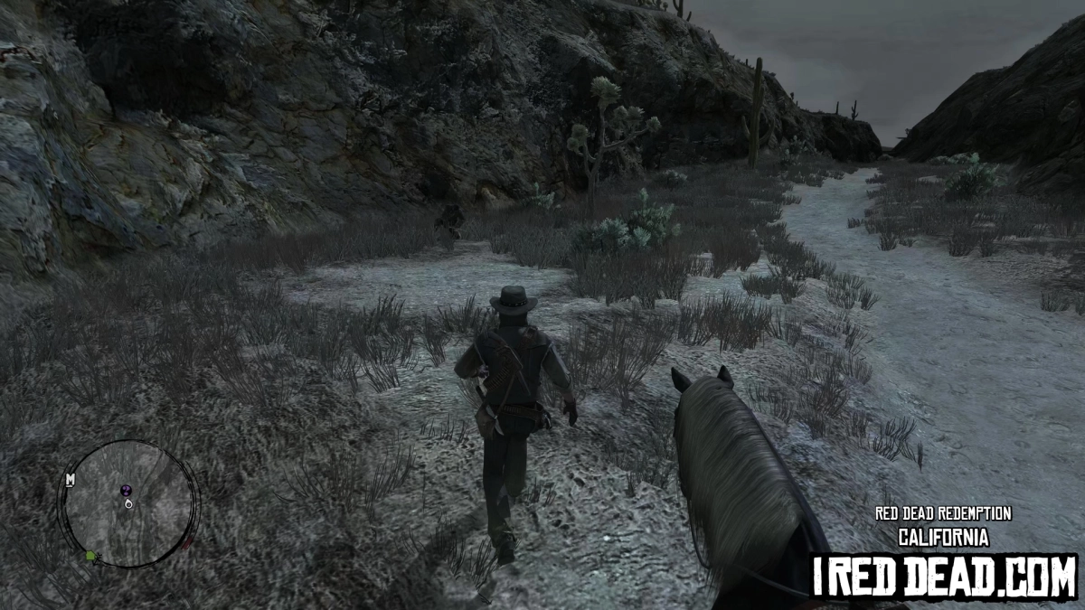 Red Dead Redemption California 11