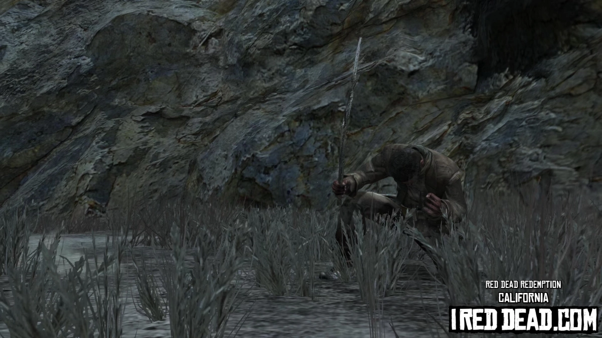 Red Dead Redemption California 12