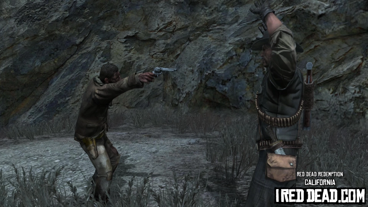 Red Dead Redemption California 15