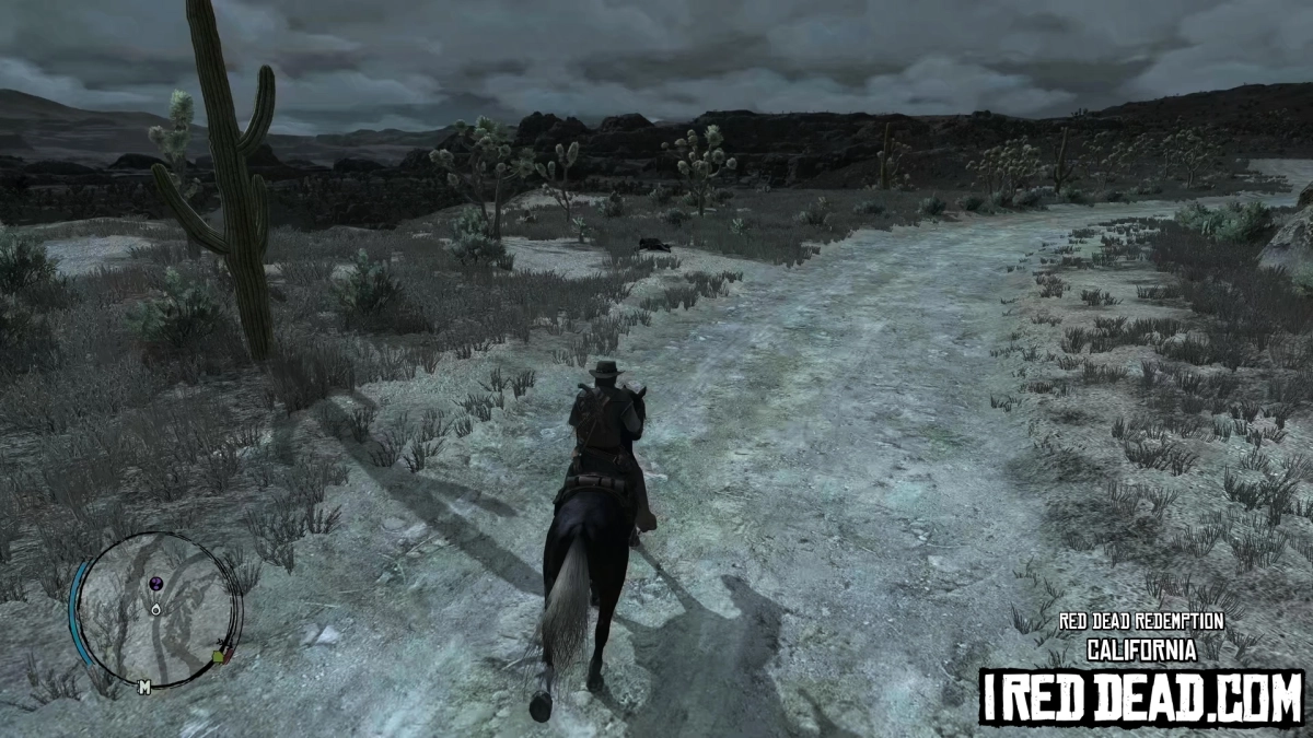 Red Dead Redemption California 17