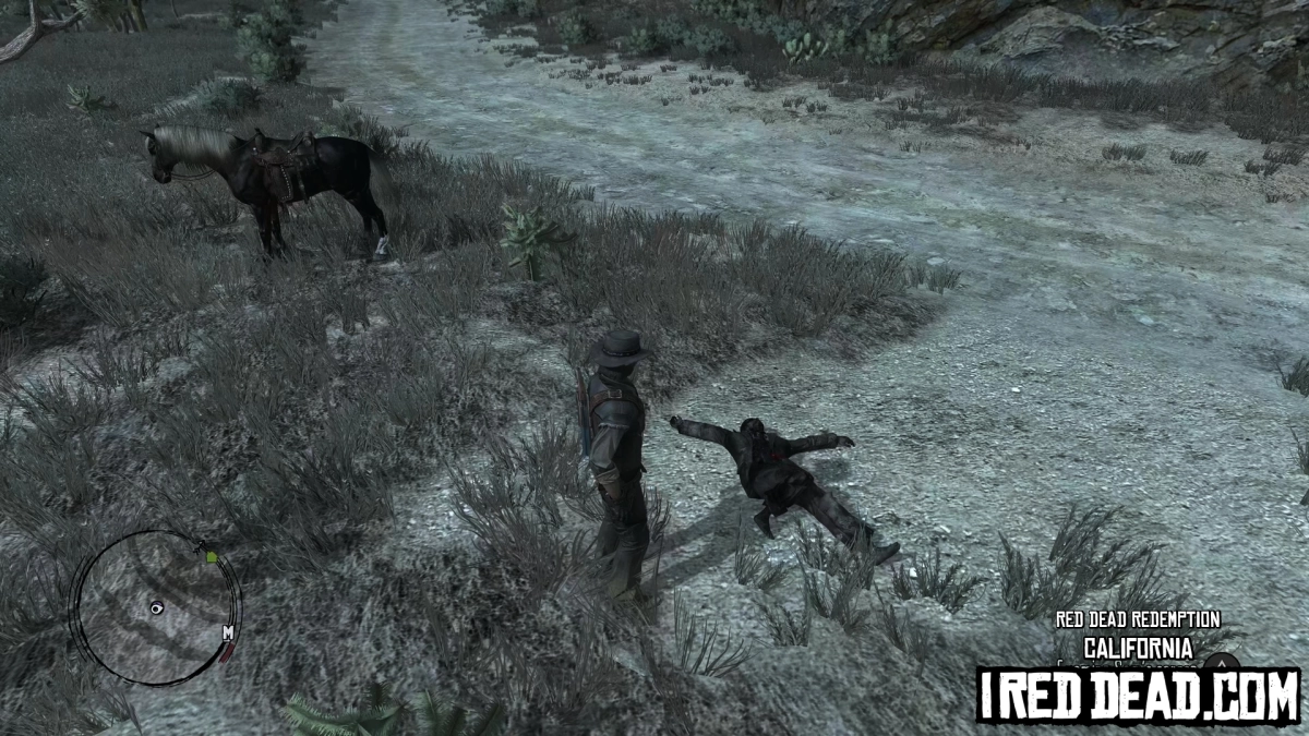 Red Dead Redemption California 18