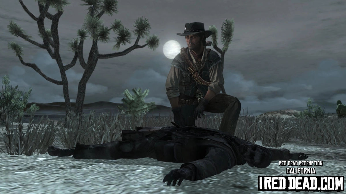 Red Dead Redemption California 20