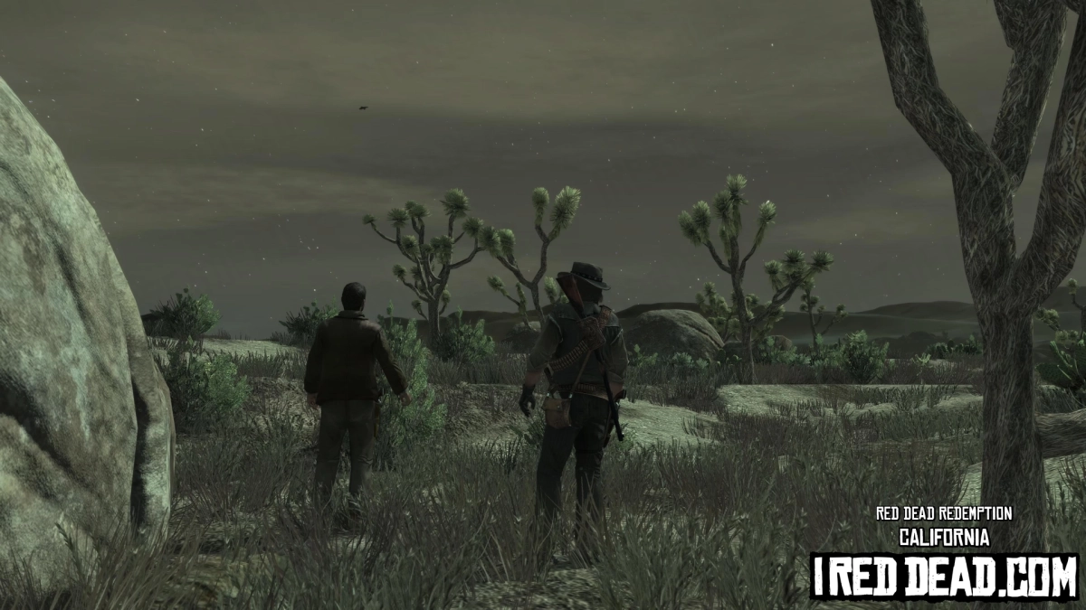 Red Dead Redemption California 5