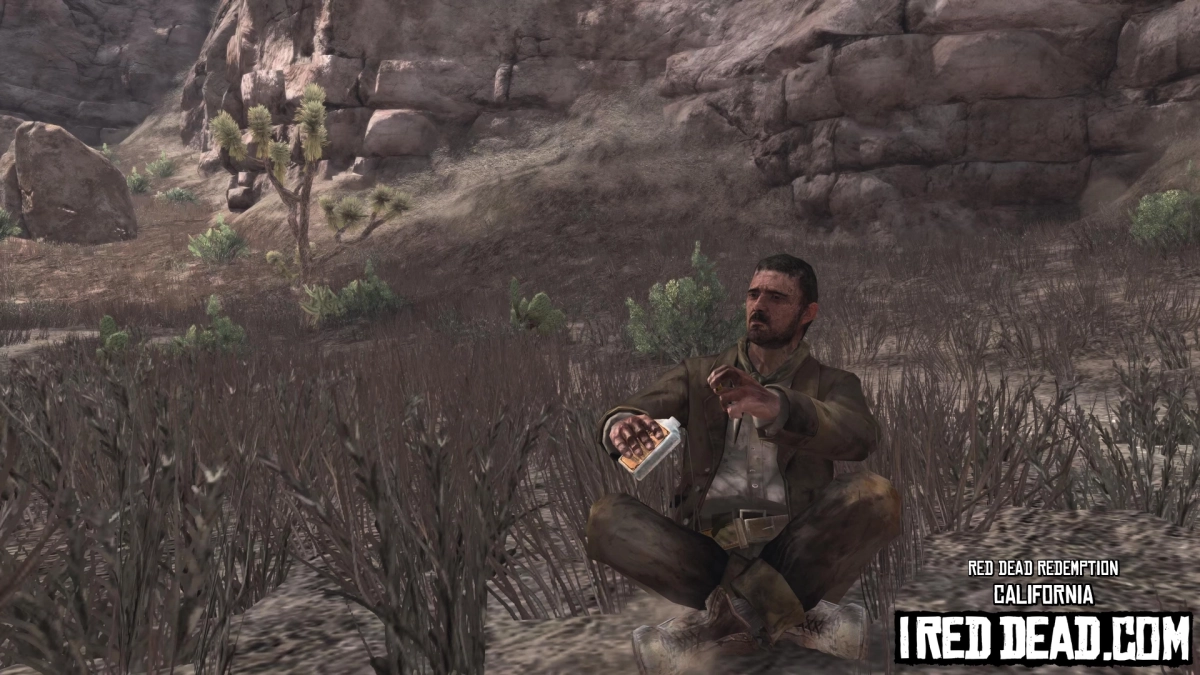 Red Dead Redemption California 8