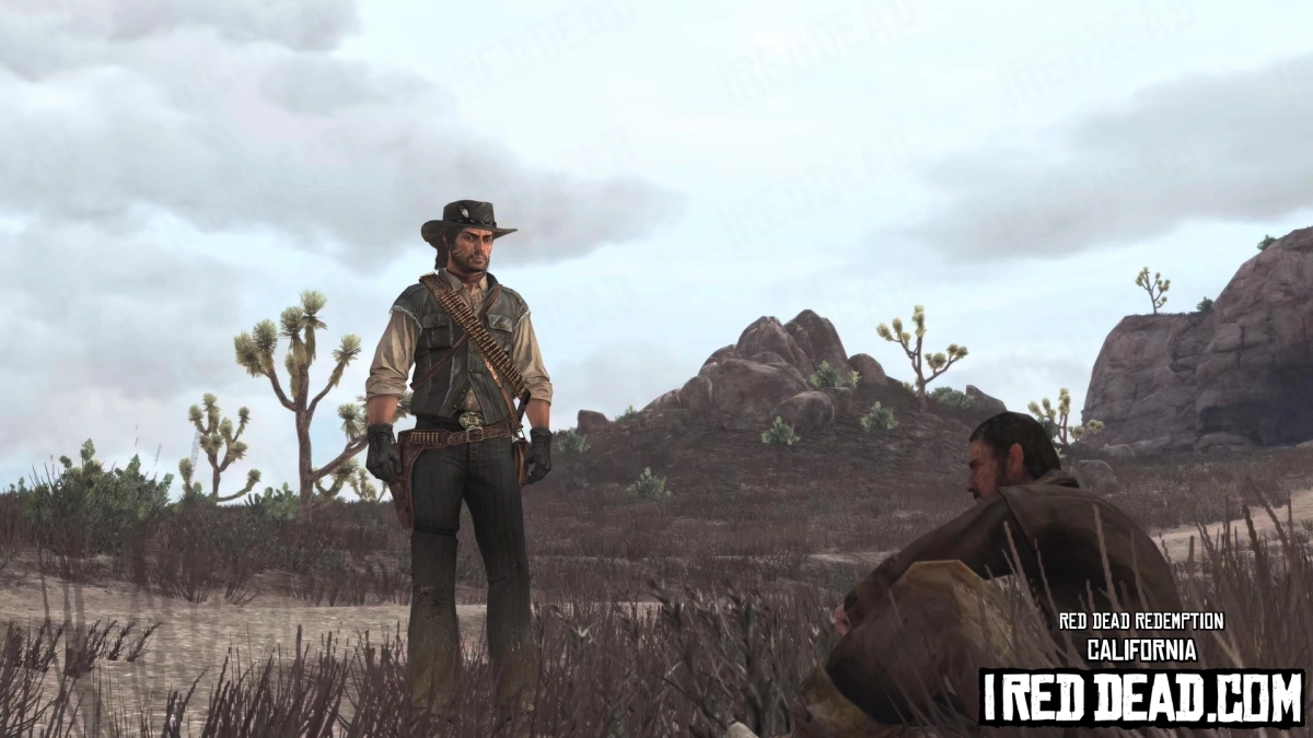Red Dead Redemption California 9