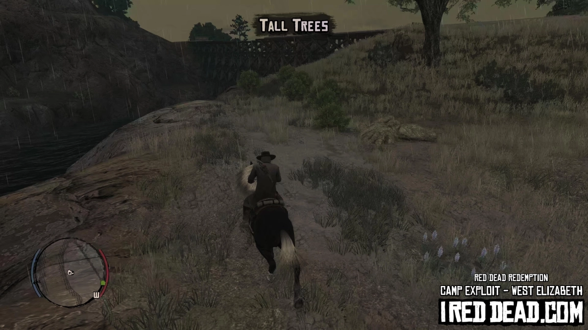 Red Dead Redemption Camp Exploit West Elizabeth 2