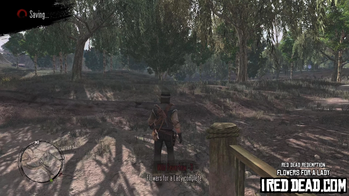 Red Dead Redemption Flowers For A Lady 18