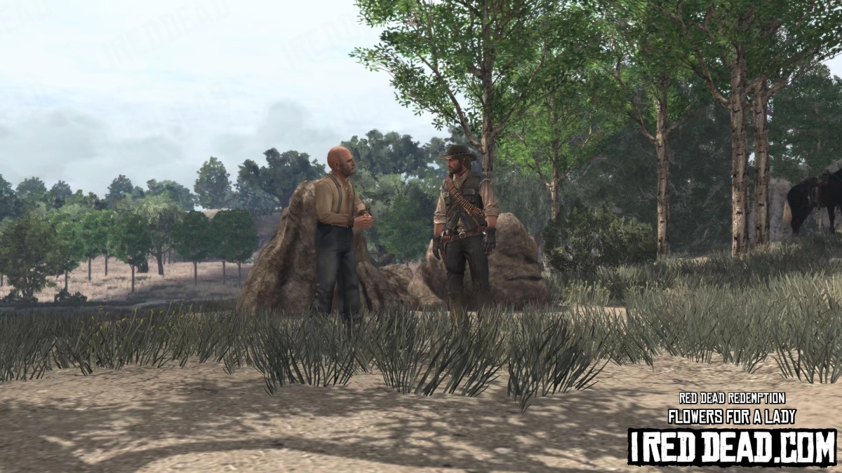 Red Dead Redemption Flowers For A Lady 5