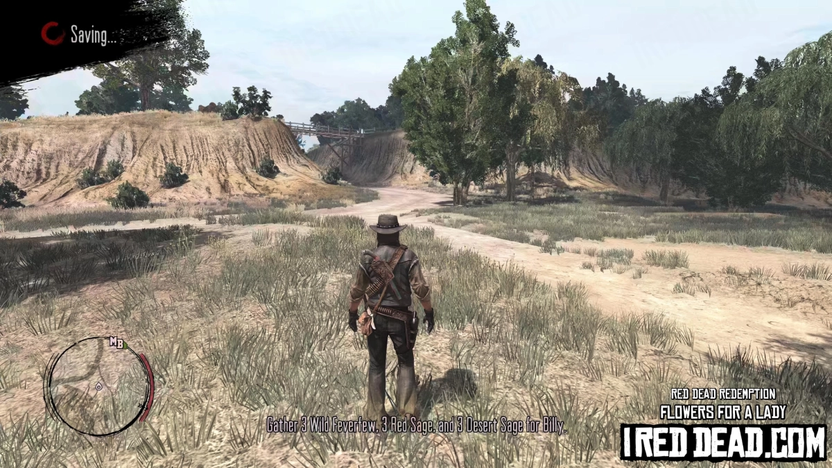 Red Dead Redemption Flowers For A Lady 7