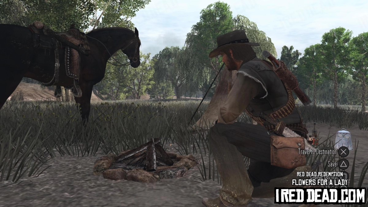 Red Dead Redemption Flowers For A Lady 8