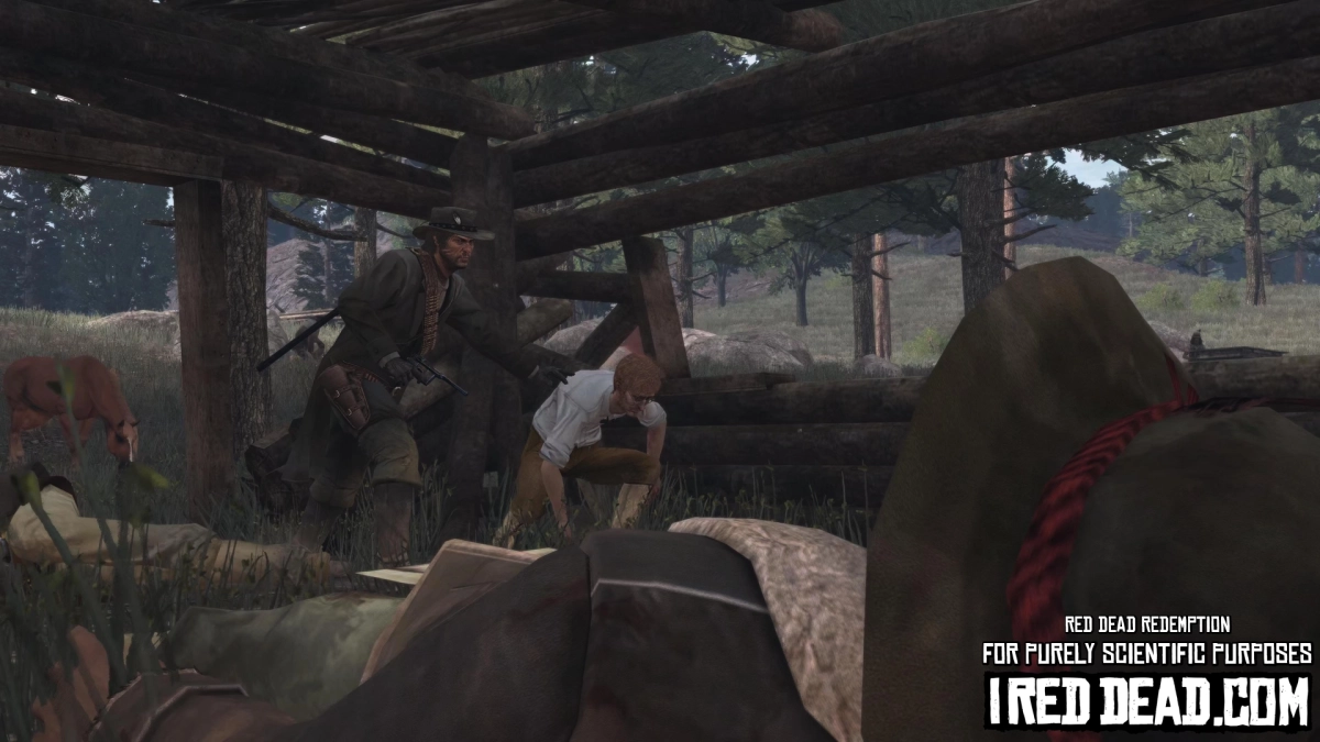 Red Dead Redemption For Purely Scientific Purposes 15