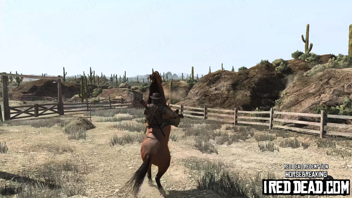 Red Dead Redemption Horsebreaking 8