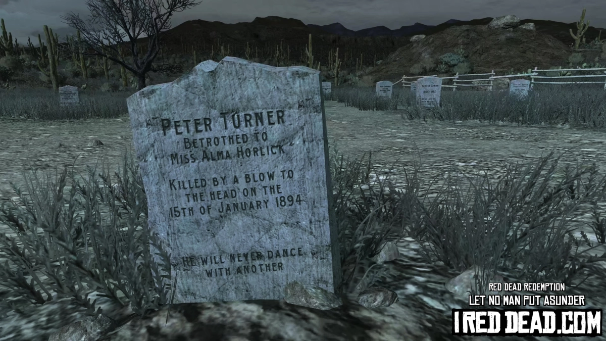 Red Dead Redemption Let No Man Put Asunder 25