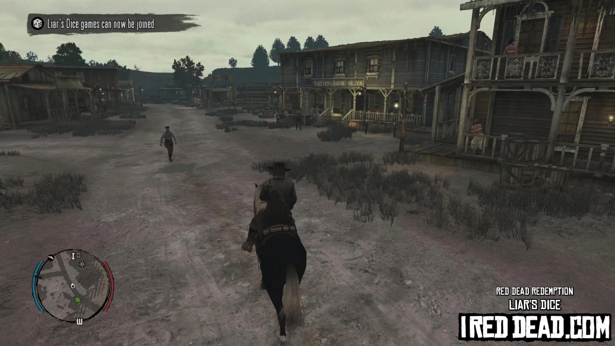Red Dead Redemption Liars Dice 1
