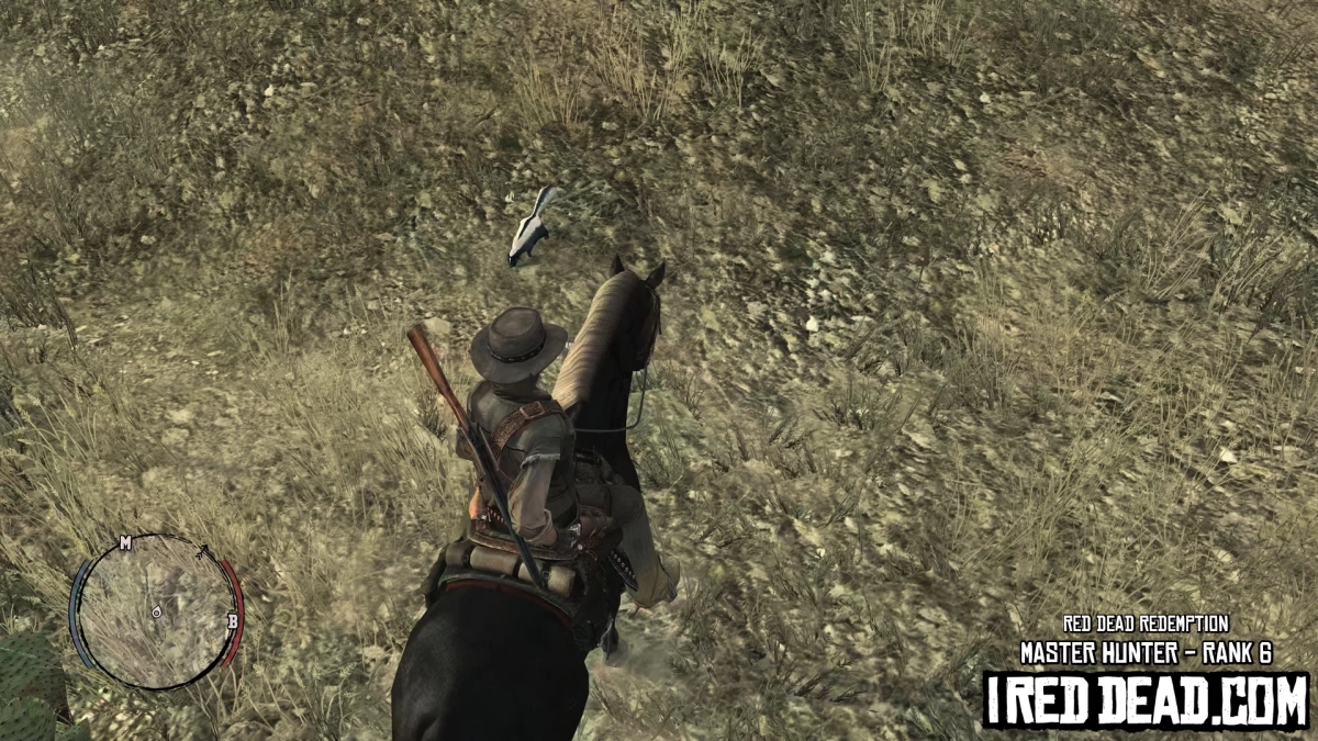 Red Dead Redemption Master Hunter Skunk