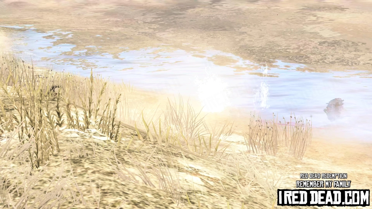 Red Dead Redemption Remember My Family 36