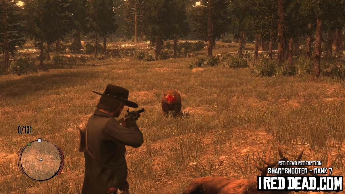Red Dead Redemption Sharpshooter Bear 2